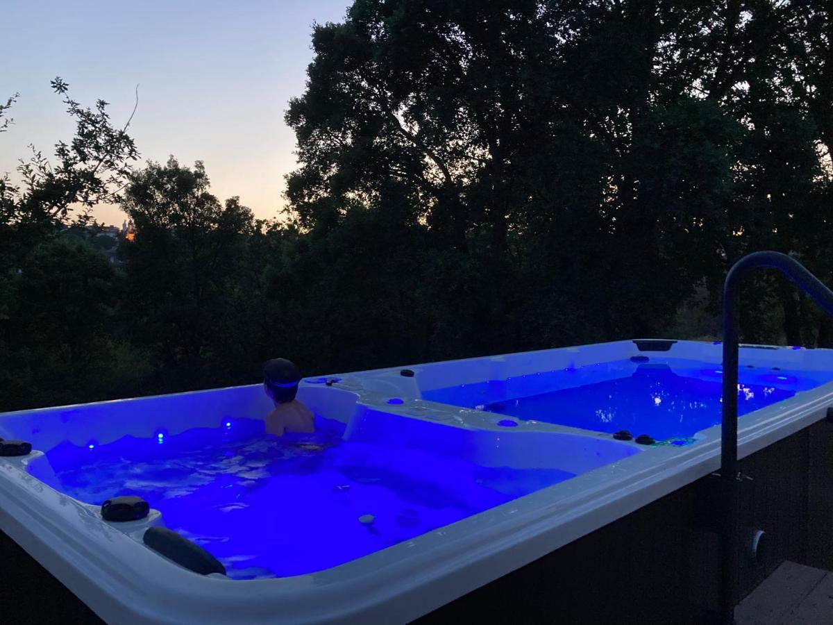 Quinta Vale De Palheiros Hotel Santa Comba Dao Eksteriør billede